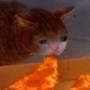 Meet your Posher, Logan